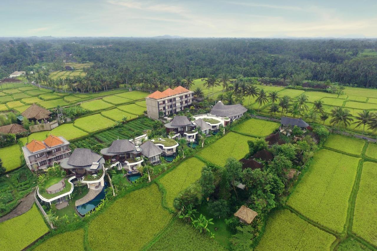 Mango Ubud Dış mekan fotoğraf
