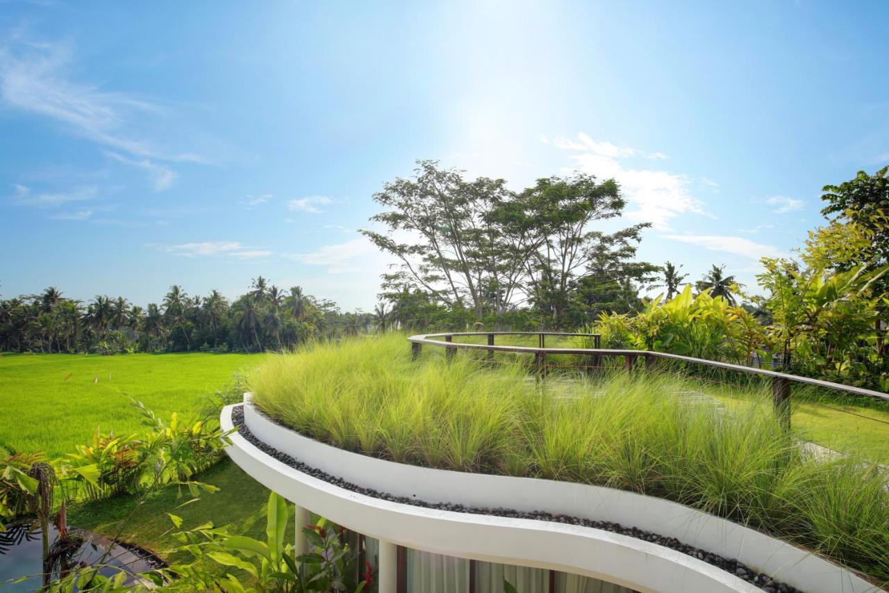 Mango Ubud Dış mekan fotoğraf